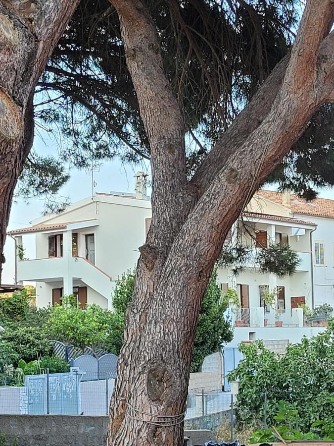 Bed and Breakfast L'Asfodelo La Maddalena  Exteriér fotografie